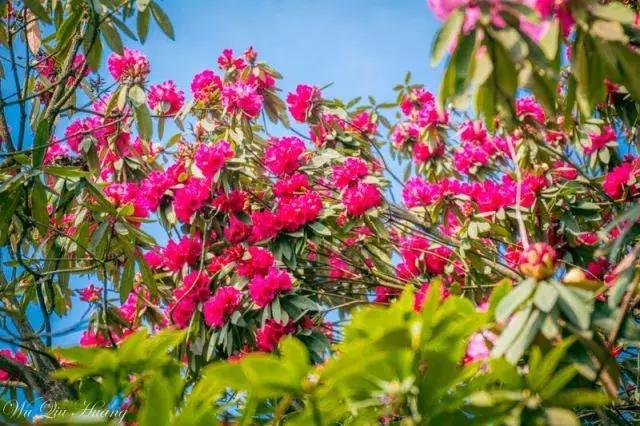 五一出行避开人从众的好去处,五一避开人群小众旅游地