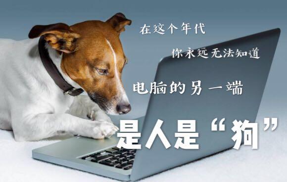 面对遛狗不牵绳应该怎么劝说,遇到博弈狗怎么办