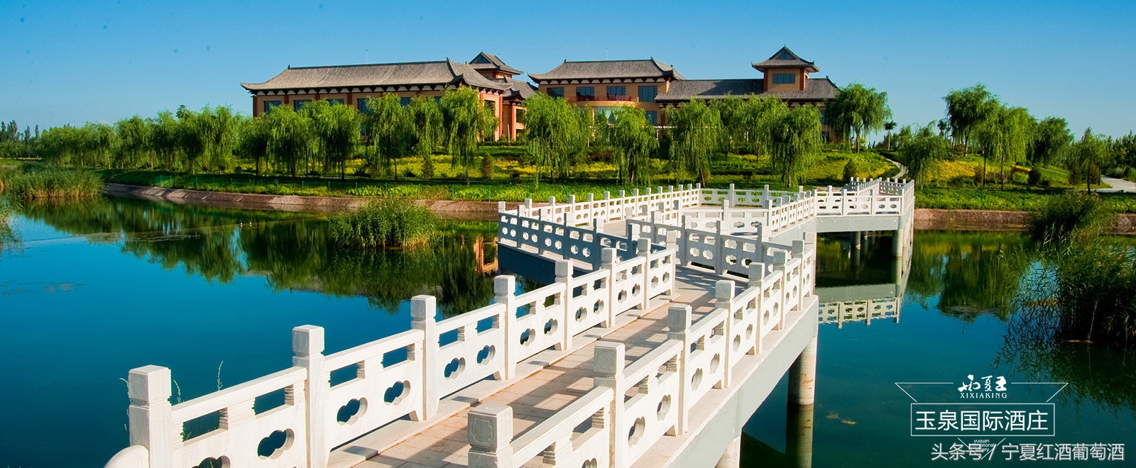 宁夏贺兰山东麓西夏王,宁夏农垦贺兰山种业有限公司