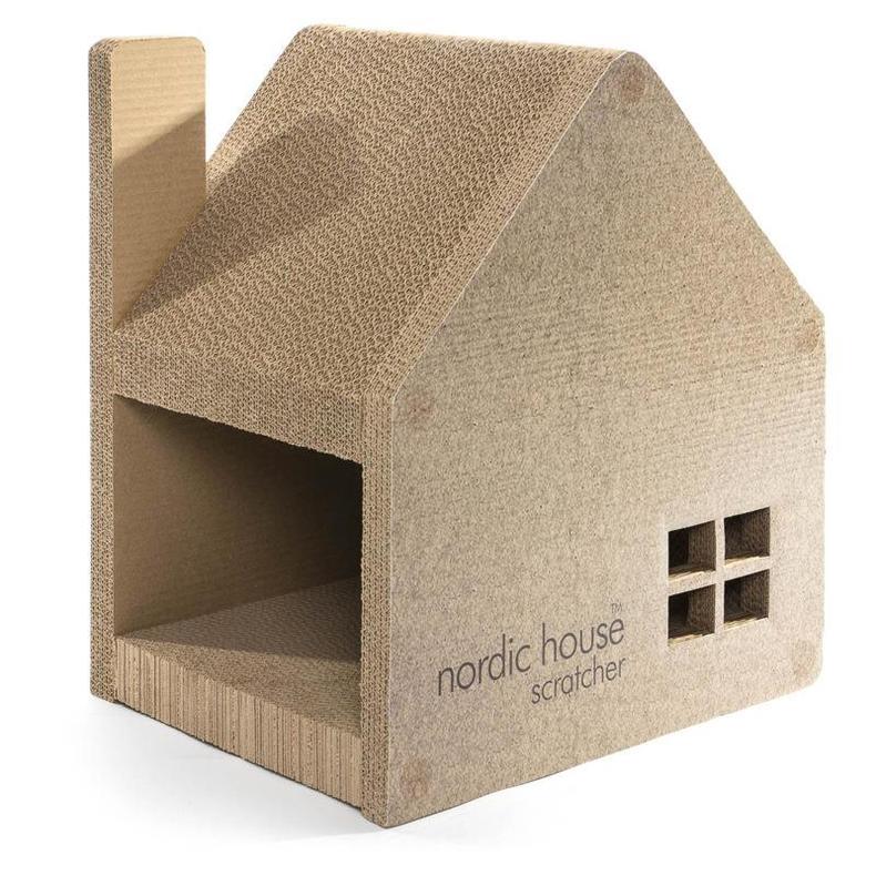 养猫家里不能有哪些东西 (家里养猫的应该知道哪些小技巧)