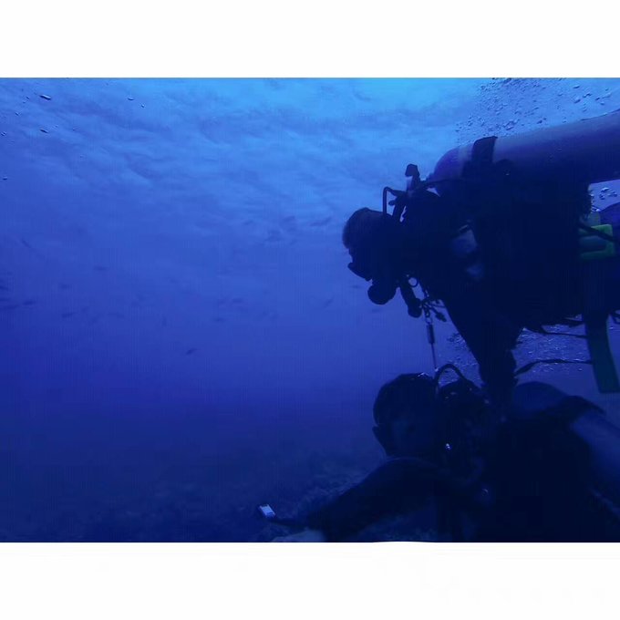 帕劳体验潜水,帕劳潜水胜地是什么体验