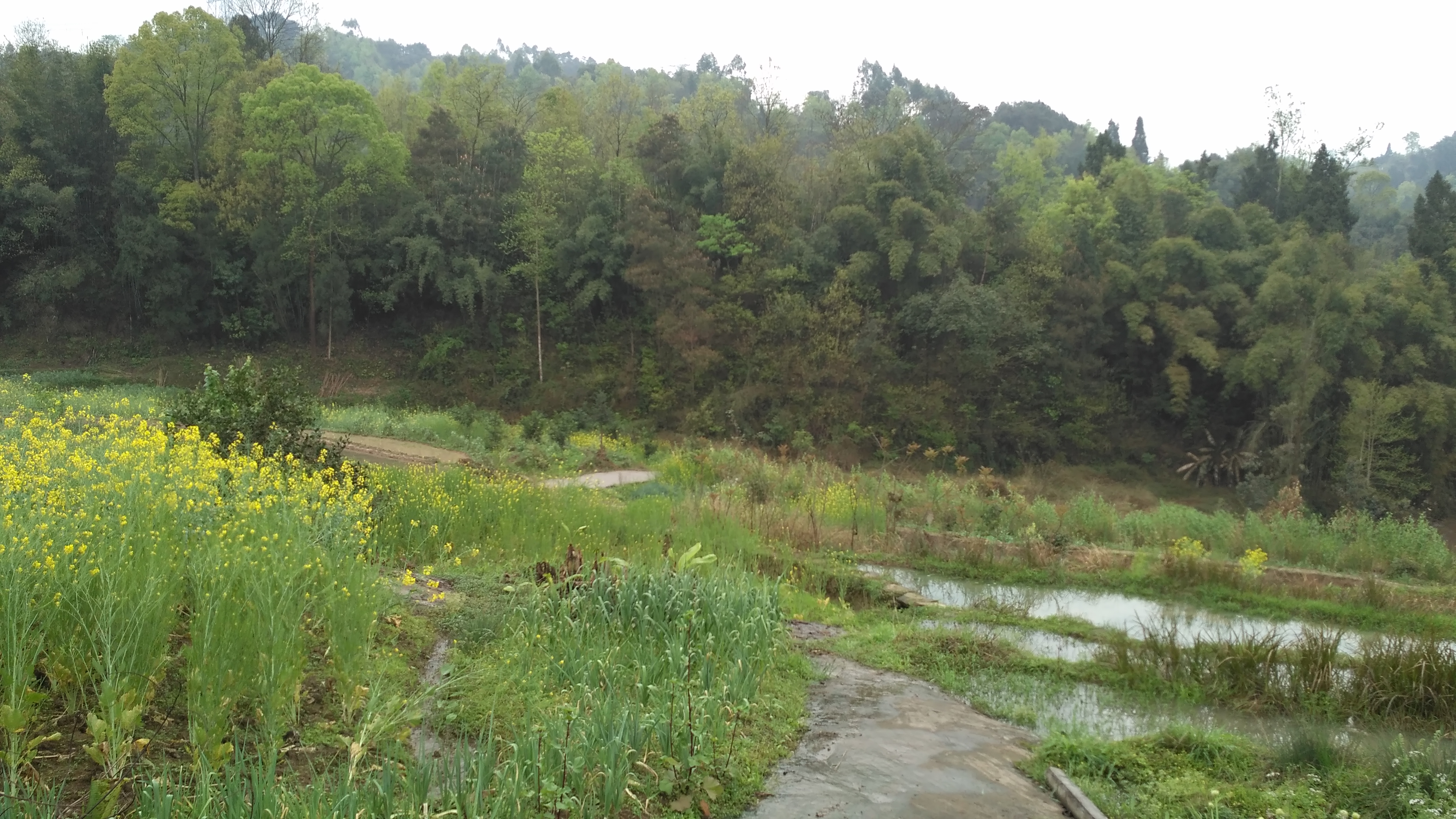 我的田园情结,温暖的田园情结