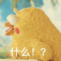 贵阳机场巴士1号线,贵阳机场巴士购票