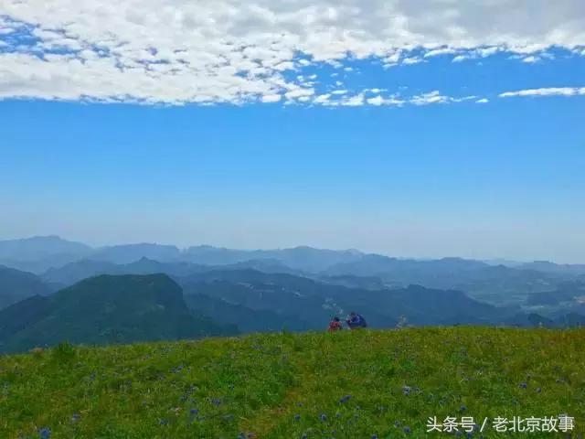 北京40个春游好去处!赏花、放风筝、爬山、烧烤……想怎么嗨都行!