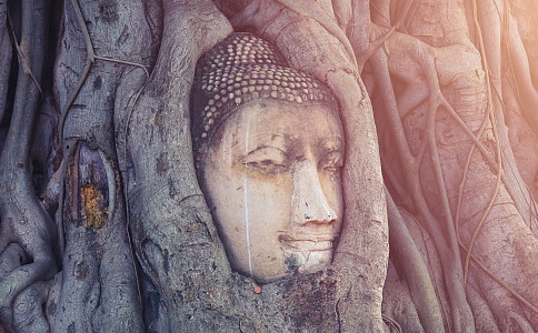 鬼道众生有多苦,鬼道众生所受的苦