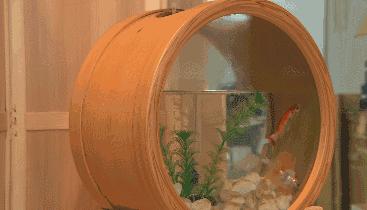 出自日本武士之手的饭盒，竟成INS美食网红摆拍神器