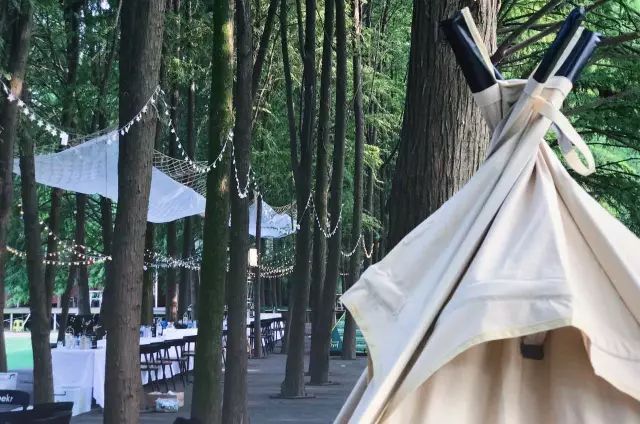 诗意到极致的江南小镇,最有韵味江南小城