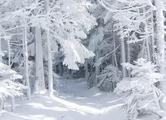 职场打击对手的技巧,对付职场对手最好的方法