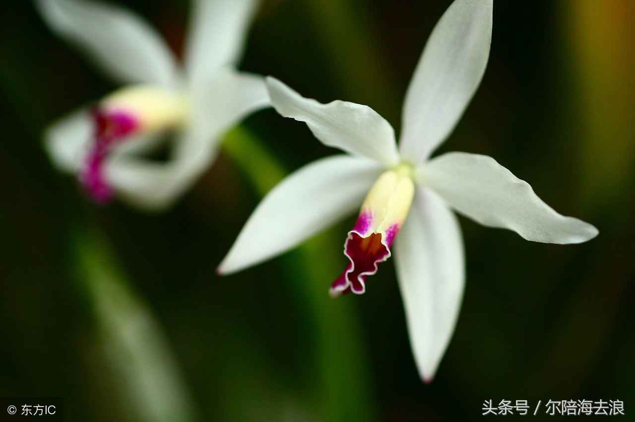 友不在多贵在知心原文,友不在多贵在知心文字图片