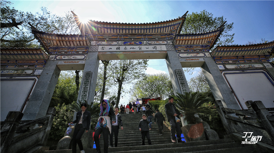 苍山现在变成了这样，让我如何再风花雪月