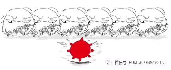 hpv疫苗要不要打协和医院,协和医院可以打乙肝疫苗吗