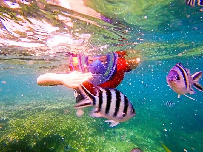 帕劳旅行的日记,帕劳的旅行日记