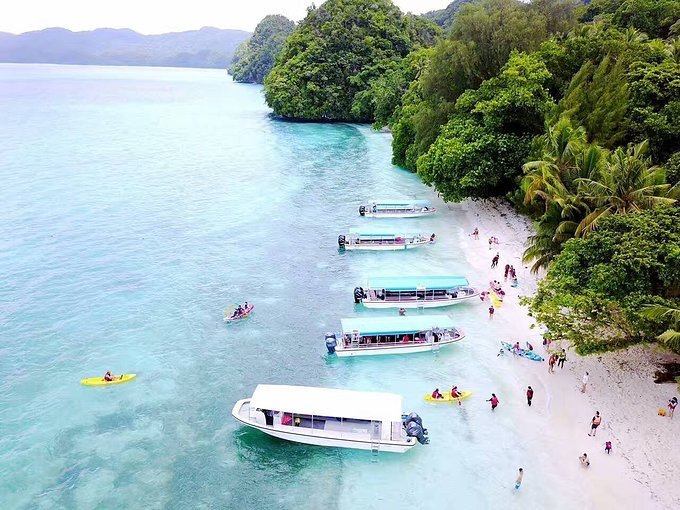 帕劳旅行的日记,帕劳的旅行日记