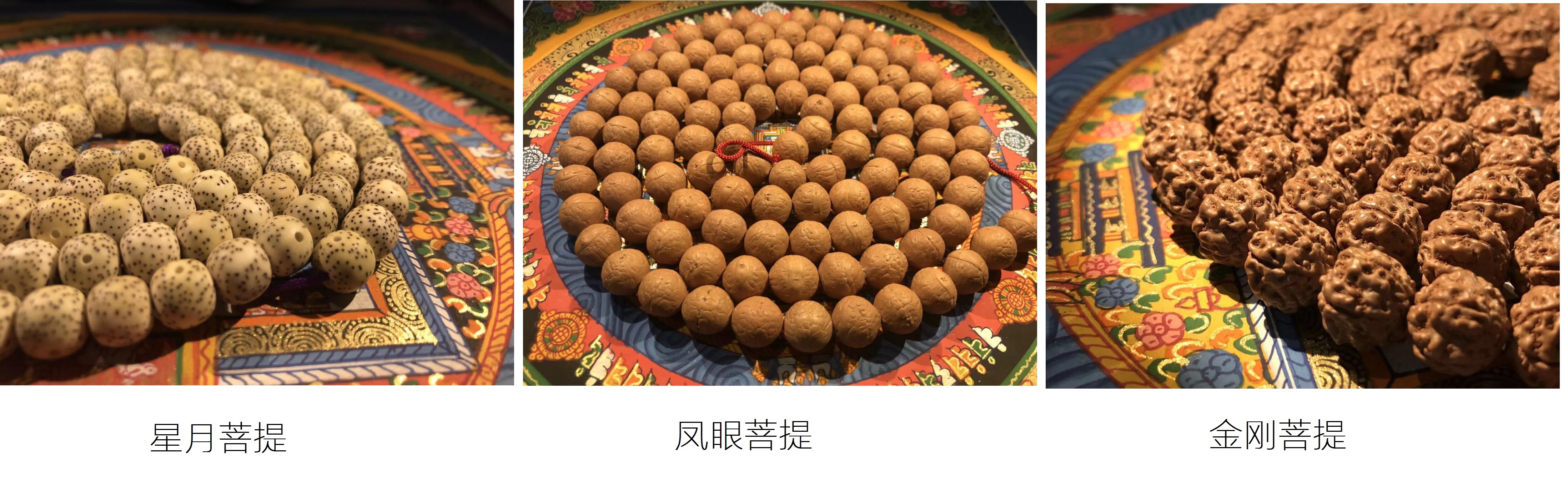 怎样判断菩提的品质好坏,如何鉴定菩提是真还是假