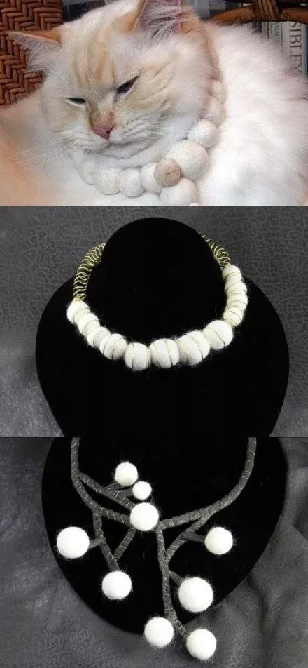 猫头秃了一块毛是怎么回事,为什么猫一直掉毛还不秃