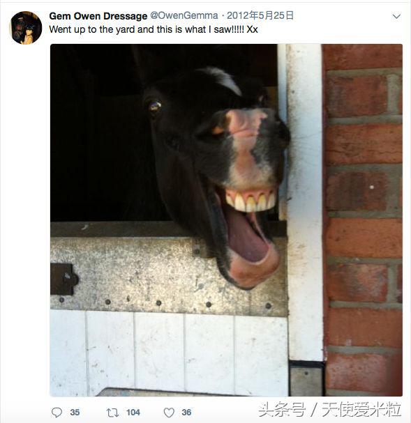 同龄人又把你遗弃!星二代的兴趣班要花好几个亿