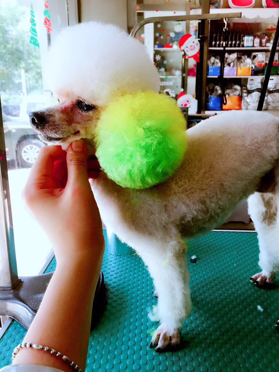 网上买宠物狗靠谱吗,网上买狗狗都是骗人的吗