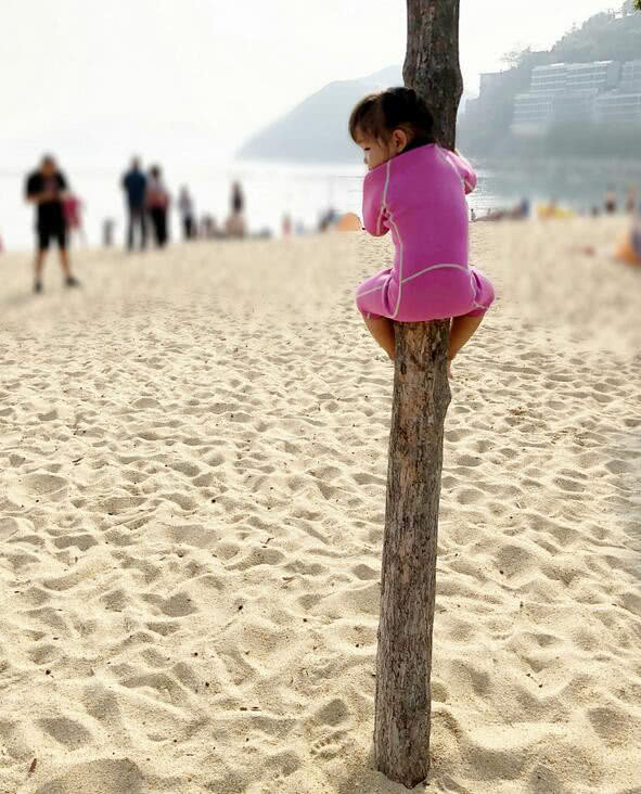 陈浩民老婆晒孩子照片,陈浩民妻子晒四个孩子照