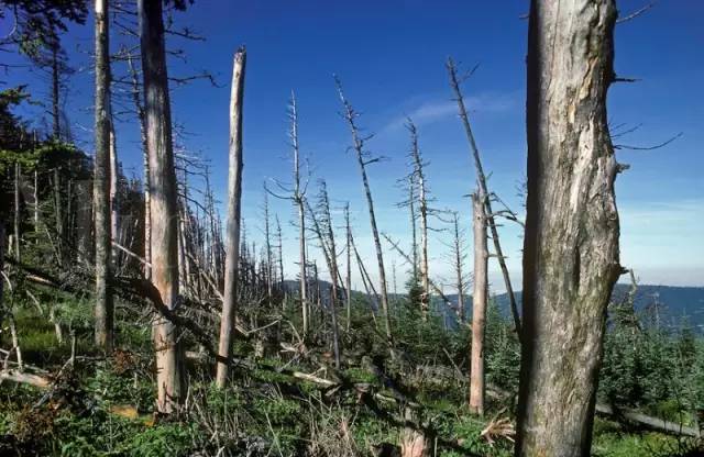 水的电离和溶液ph值的计算知识点,ph值的计算试题