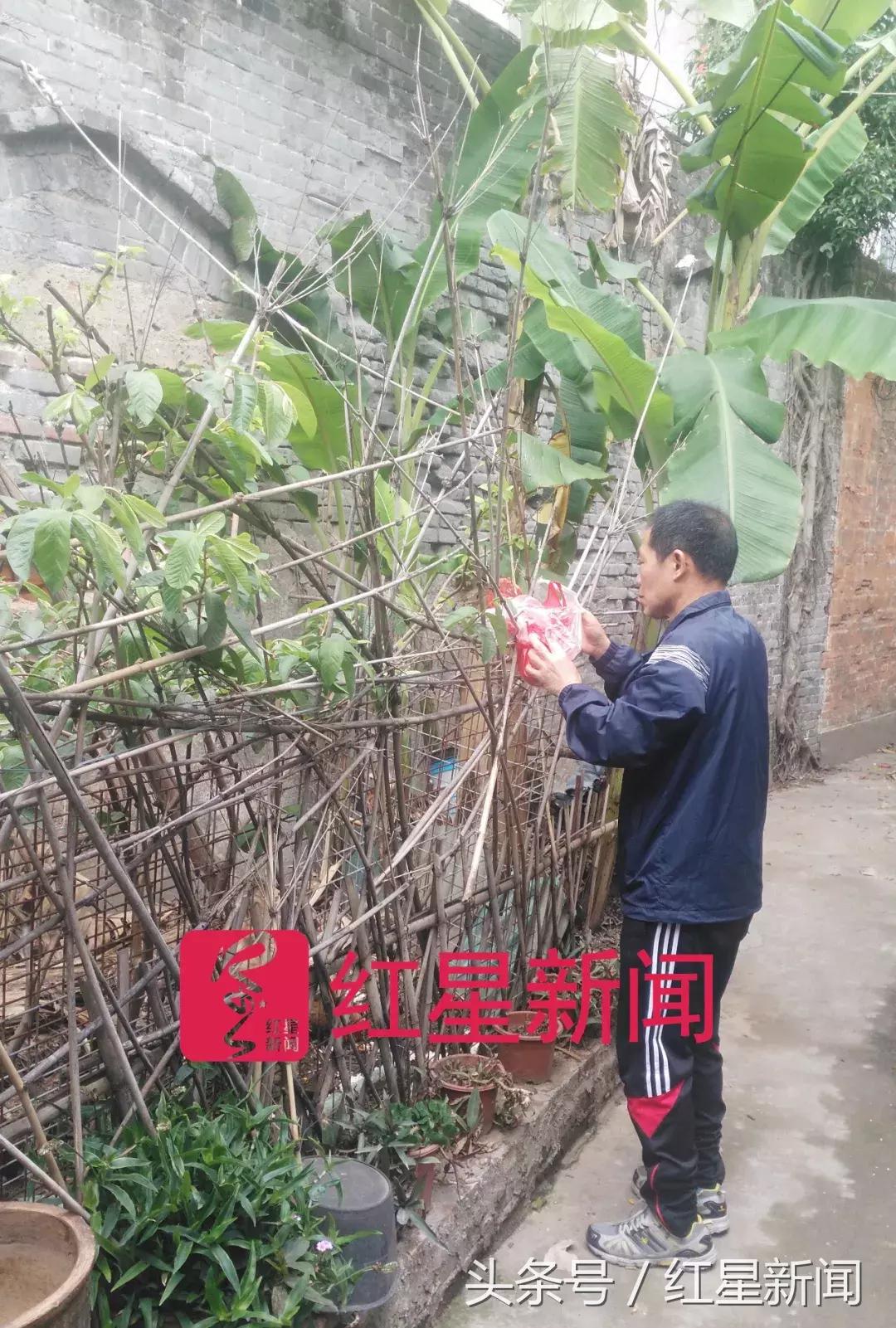 涓浗瓒崇悆杩愬姩鍛樻潃浜烘,2006骞村北涓滀竴灏戝勾琚垽鏃犳湡寰掑垜