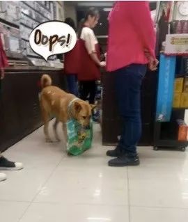 偷看客人吃东西被发现,阿汪秒变无辜脸:我来陪爸爸买酱油的...