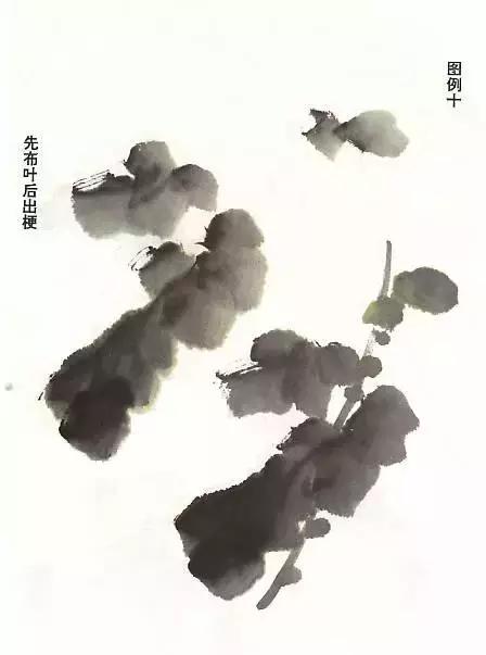 国画基础画菊花该如何构图才好看,国画菊花怎么画简单画法