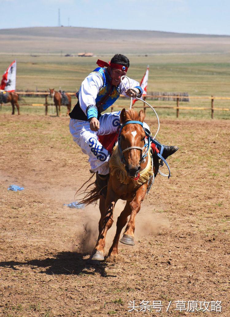 马之舞巴尔虎,玛之舞巴尔虎最新