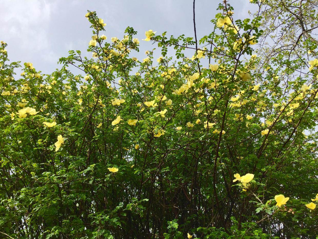 50岁改行职业规划,50岁改行能做什么