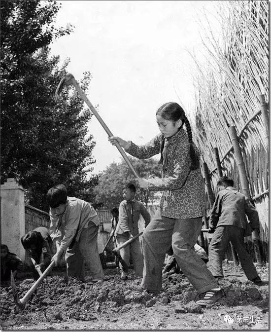 衡南茅市初中，那苦涩而温馨的记忆