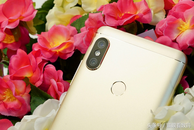 红米note5,红米note5能拍照吗