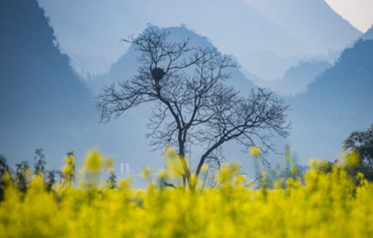 描写田园春景的诗词,描写春天美好乡村的诗句