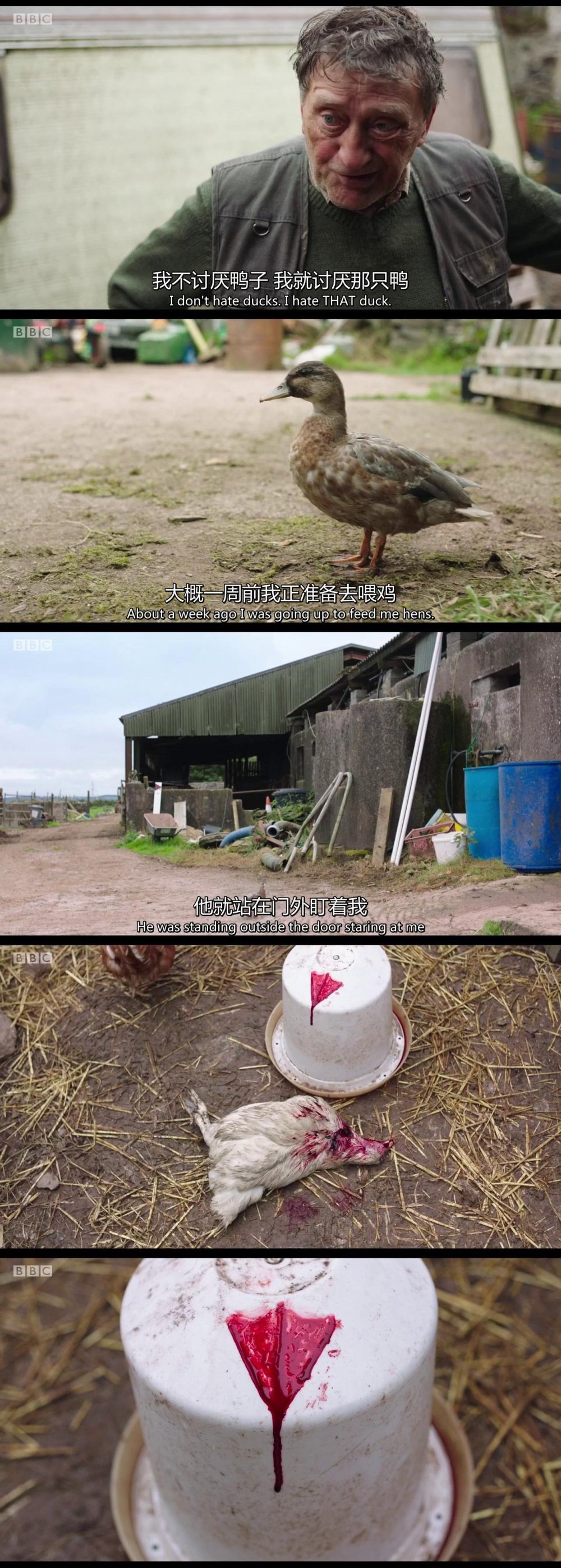 “我不是同性恋，如果是，我愿意和他搞基”