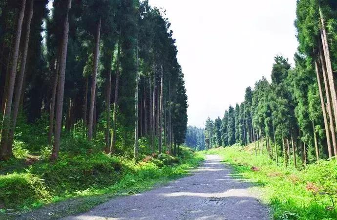 成都周边洗肺好去处,成都周边私藏的8个洗肺胜地