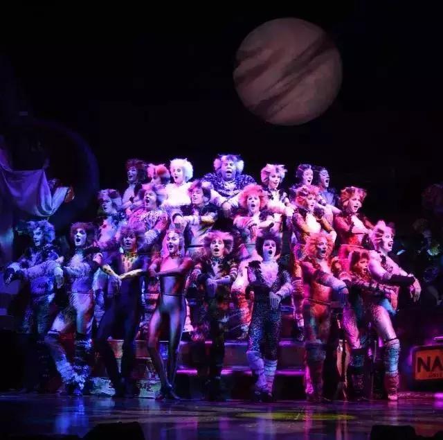 世界名著中的猫,盘点千奇百怪的猫