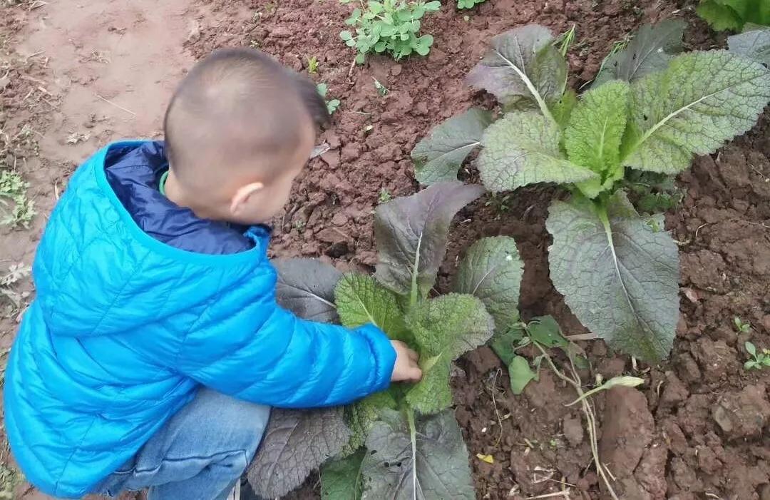 当年的非主流现在长什么样了,当年的非主流现在叫什么