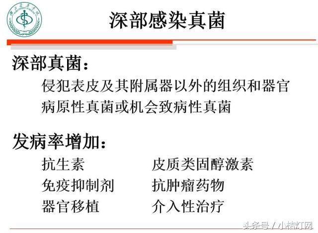 真菌微生物国标检测方法,微生物真菌检验