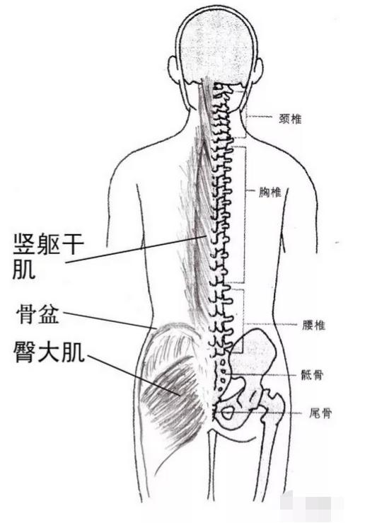 太极松腰松胯,太极撑胯松胯