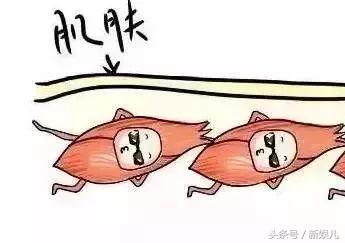 为什么范冰冰比林允气质好,范冰冰王菲谁漂亮