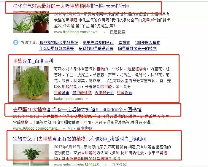 什么植物可以放车里吸收甲醛,植物真的能吸收甲醛吗