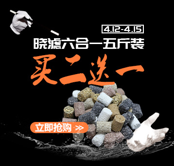 什么样的印尼虎鱼值钱,印尼虎长明