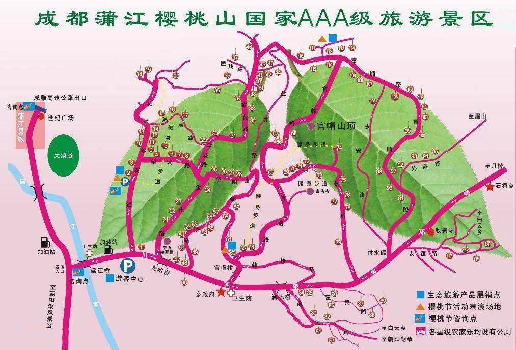 成都周边樱桃沟樱桃熟了吗,青白江恩特尔樱桃