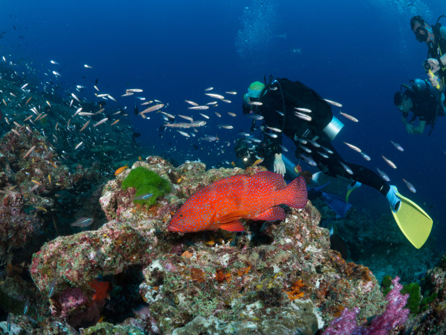 泰国普吉岛旅游攻略spa (泰国普吉岛攻略详细教程)