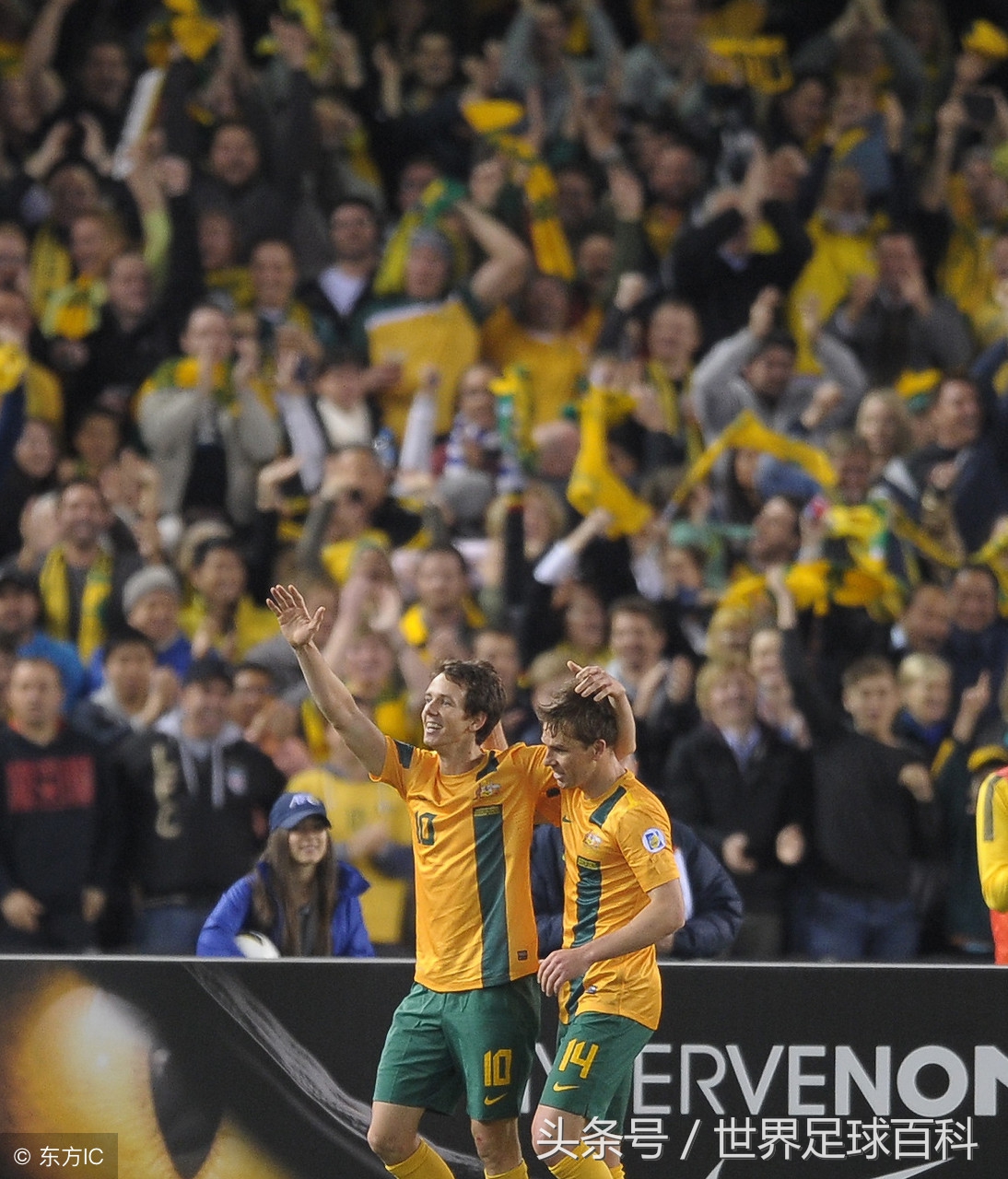 奔向莫斯科：世界杯32强之“袋鼠军团”澳大利亚