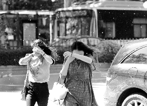 南京新版飘絮预报5个平台同步更新，58条道路有精准预报