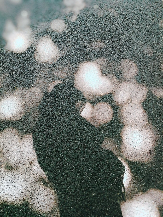 九溪虽小你却没用心体验过，别有一方风味