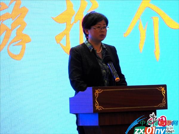 徐州生态方城旅游推介会,方城生态旅游推介会