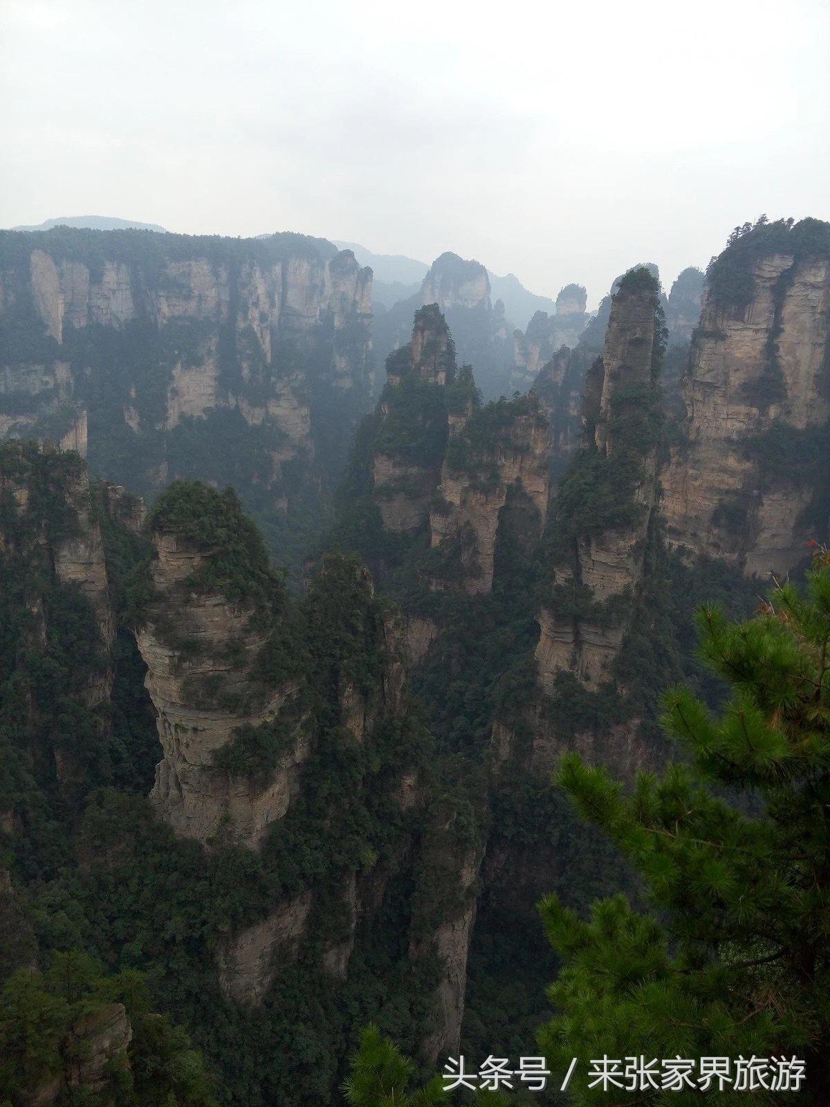 山东到张家界凤凰五日游攻略图文,佛山去张家界旅游攻略路线推荐图
