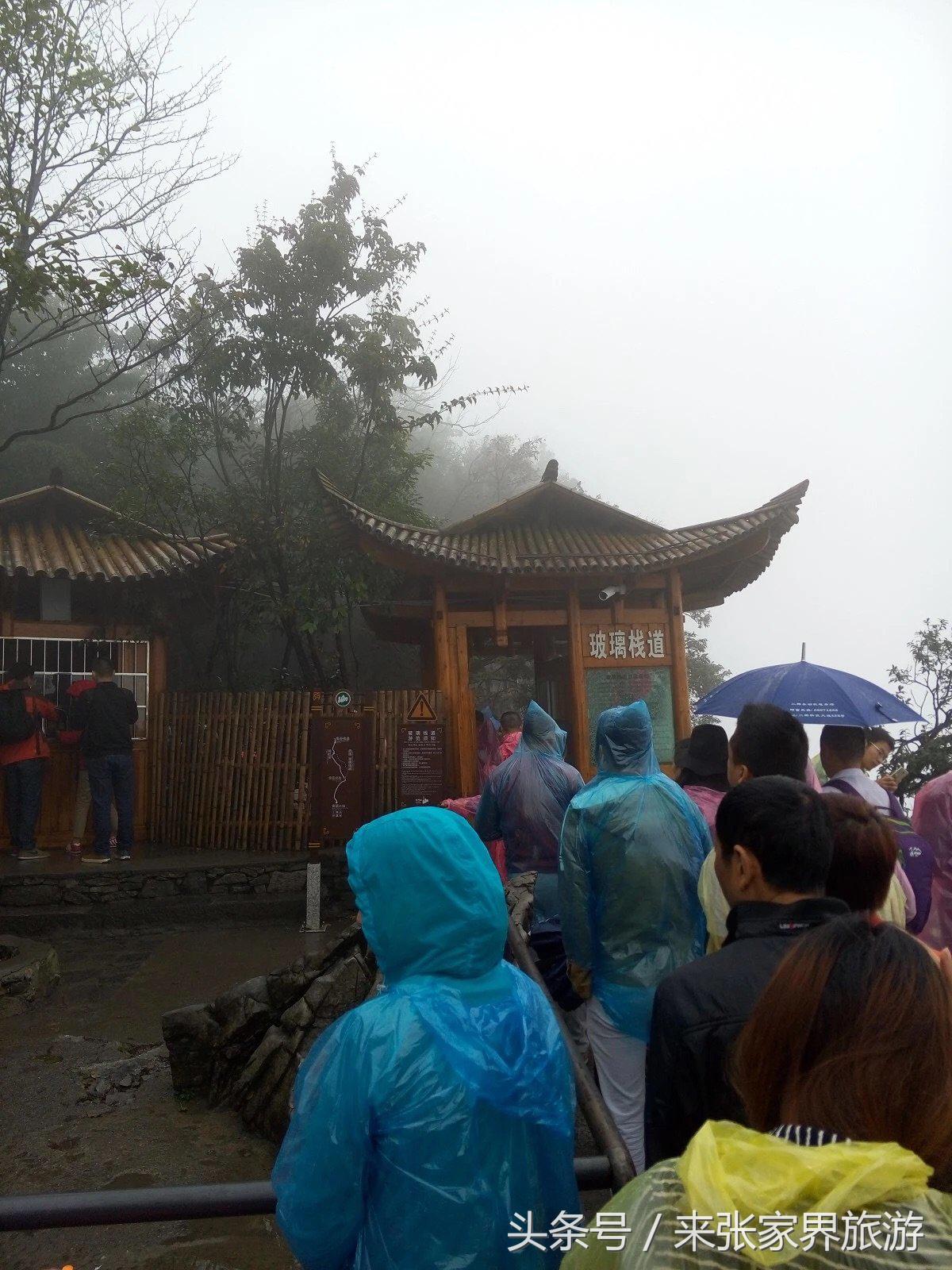 山东到张家界凤凰五日游攻略图文,佛山去张家界旅游攻略路线推荐图