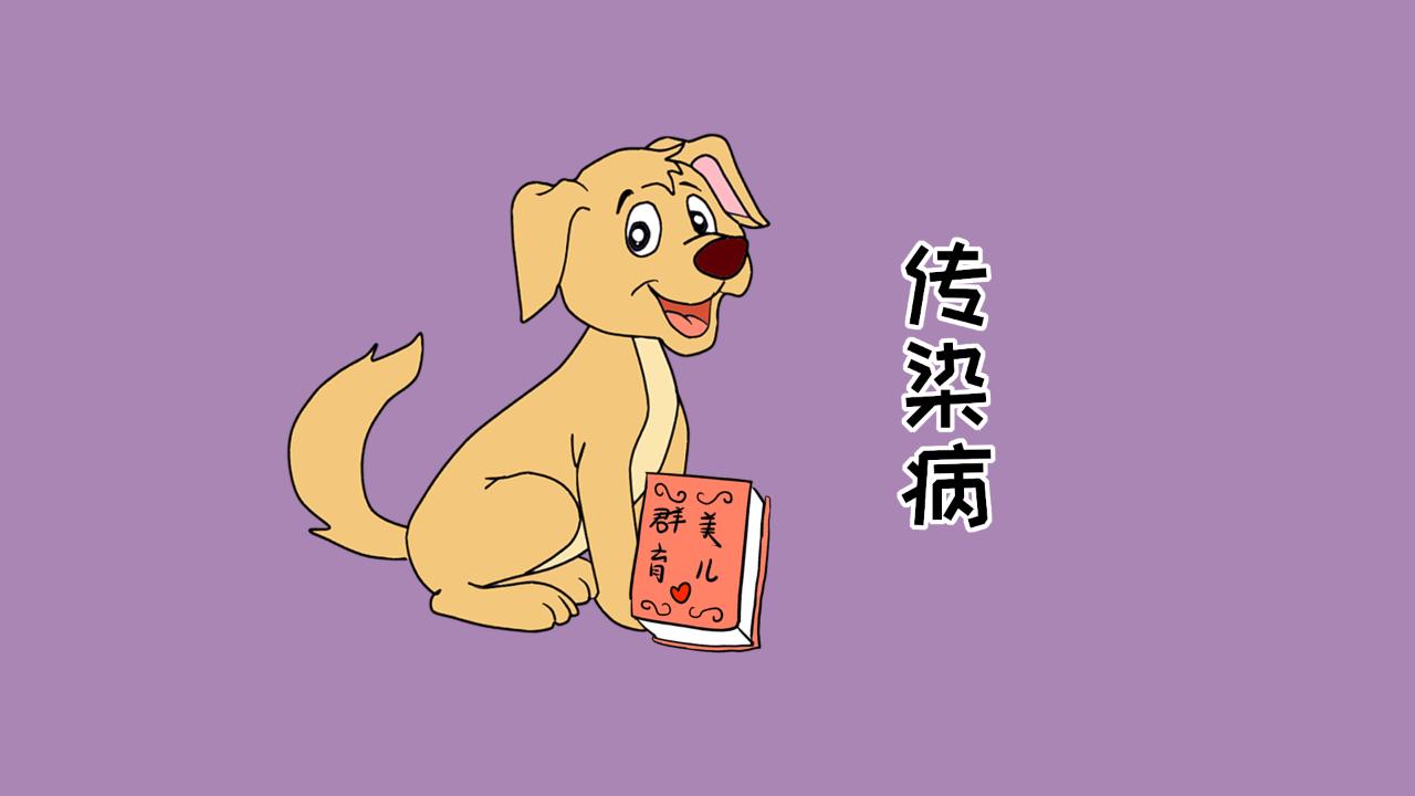 准妈妈了解这5条小知识，让弓形虫病无处可钻