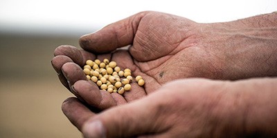 看世界杯为什么喝啤酒,边喝啤酒边看世界杯有用吗